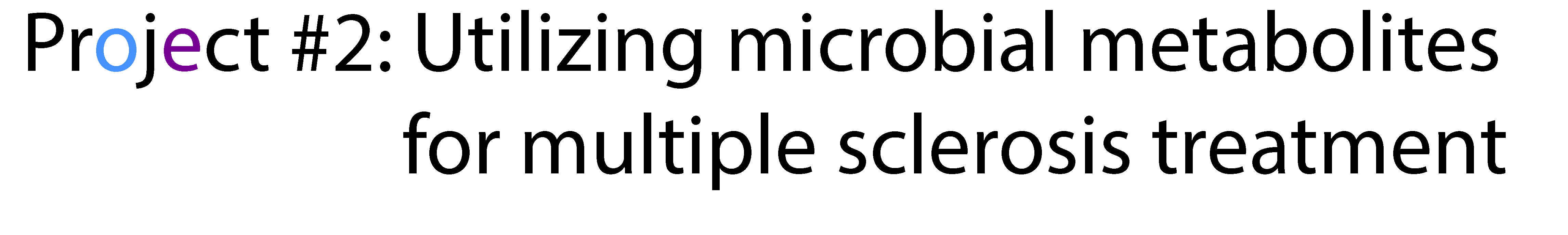 Project 2